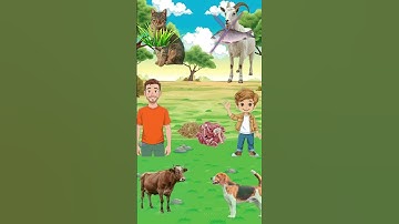 JUNGULE MAIN GARBAR HO GAYA🤫🤫jai ram bhakt ki vfx kahani #vfx #cartoon