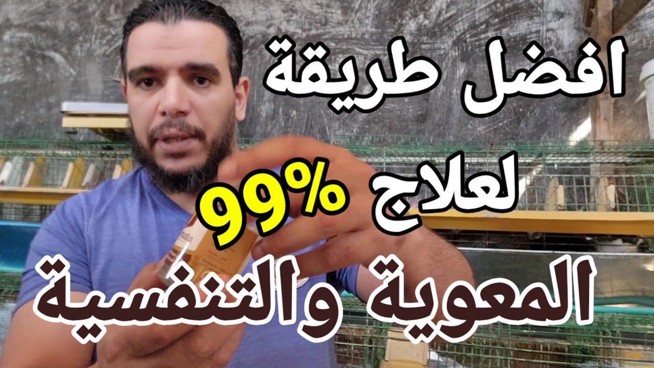 افضل علاج للالتهاب المعوي الجيلاتيني والامراض التنفسية للارانب 99%نجاح