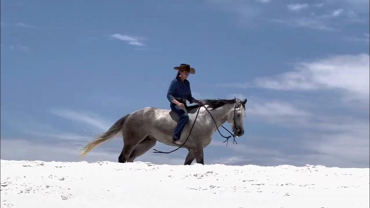 Sporty Tennessee 311 in Invitational Gelding Session 1/27/23 Triangle