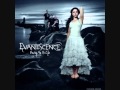 Evanescence  bring me to life