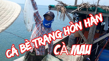 CÂU CÁ BIỂN/CÂU CÁ BÈ TRANG/CÂU CÁ MÚ HÒN HÀN CÀ MAU PHONG CẢNH TUYỆT ĐẸP@giangngofising