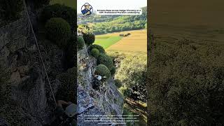 Extreme Rope Access Hedge Trimming on a Cliff | Professional Precision Landscaping