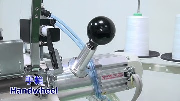 Pegasus FS701P G0 TK with Hohsing D D Servo Motor + i70M 4 FS 220 Control Box