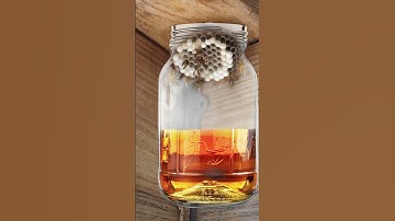 The Wasp Gas Trick EXPOSED