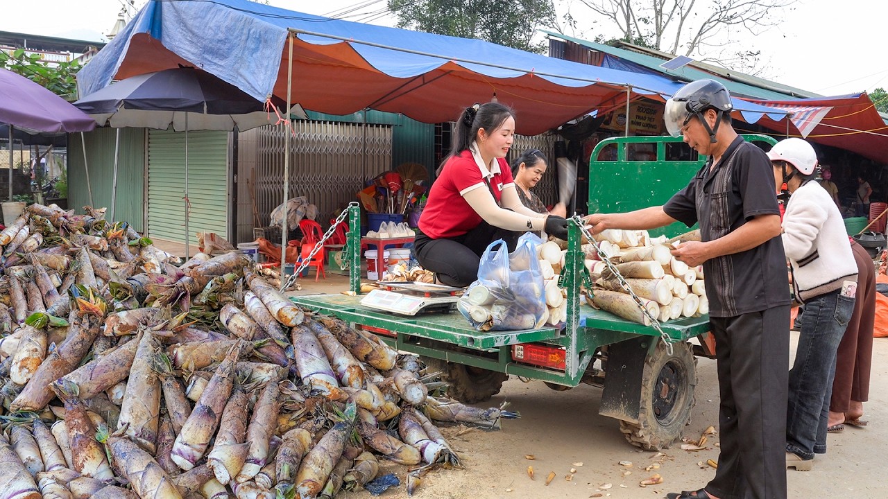 Buy Lots Of Bamboo Shoots from Villagers in Highlands, Use Truck Transport Bamboo Shoots Go To Sell