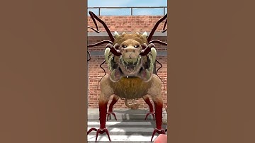 POW HAHA ZOOCHOSIS SIZE COMPARISON | Zoochosis in Garry