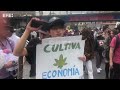 La Marcha de la Marihuana pide en Ecuador legalizar el cultivo