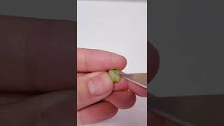 小さいりんごのアクセサリー