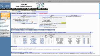 Understanding rs IDs