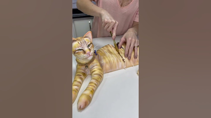 O dia que o Romeu virou bolo. 🐈 #cat #cakeorfake #viral