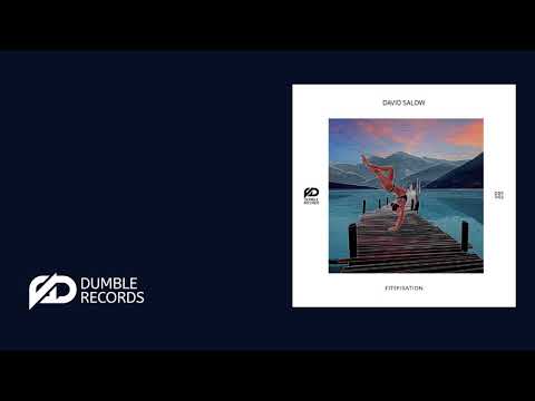 David Salow - Physical Endurance (Original mix) - DBR003