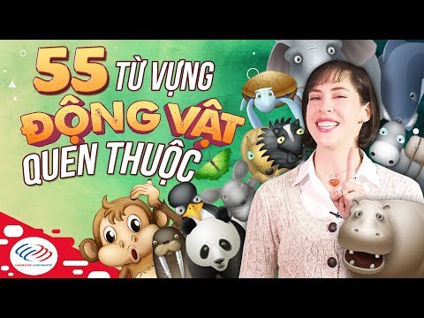 Video Tiếng Anh giao tiếp thông dụng theo chủ đề - 55 Từ... - youtube