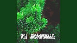 ТЫ ПОМНИШЬ - Сергей Грищук