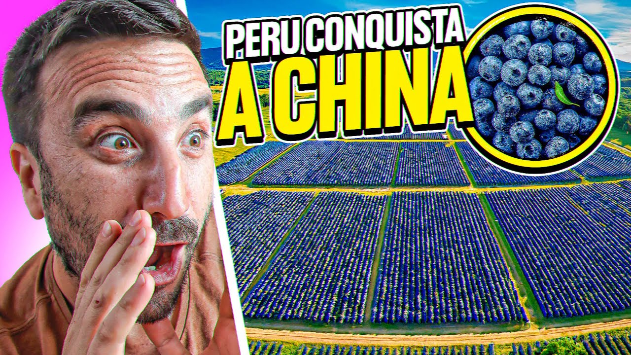 ¡HORROR EN CHILE! Chilenos se indignan con el EXITO PERUANO del Arandano🫐🇵🇪