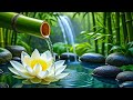 Beautiful Relaxing Music and Water Sounds 🌿 Meditation Music Relax Mind Body, Stress Relief Music