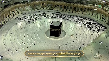 سورة التكوير كاملة بترنم هادئ للشيخ ياسر الدوسري🌈