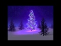 Dropkick Murphys - Auld Lang Syne