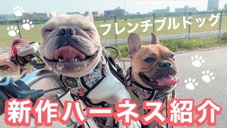 【犬グッズ 】購入品紹介ハーネス