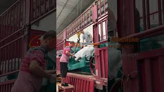 Guangxin Edible Oil Press Manufacturer | Ship 4 Cars Machine | Sunflower Groundnut Soybean Oil Mill