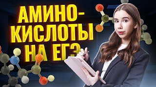 Аминокислоты: химические свойства | Химия ЕГЭ для 10-х классов | Химия ЕГЭ для 10 класса | Умскул