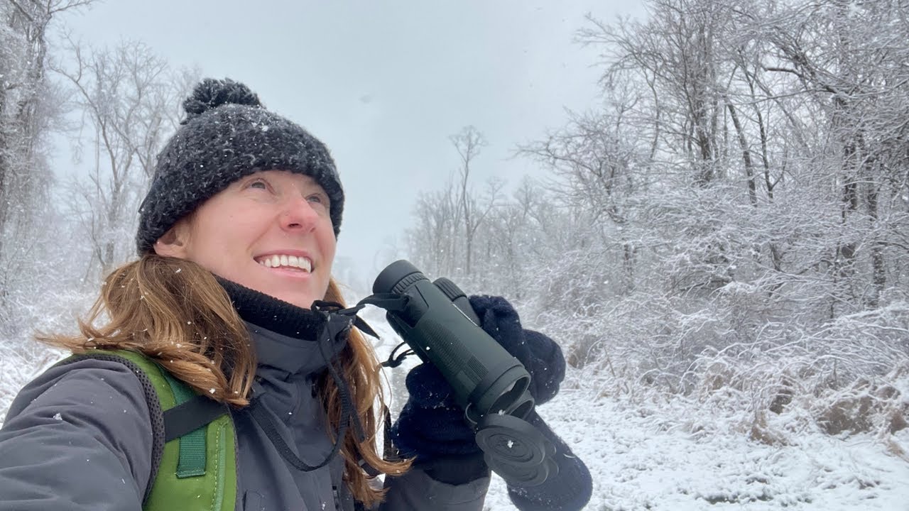 A snowy morning bird walk 🐦❄️ - nature vlog