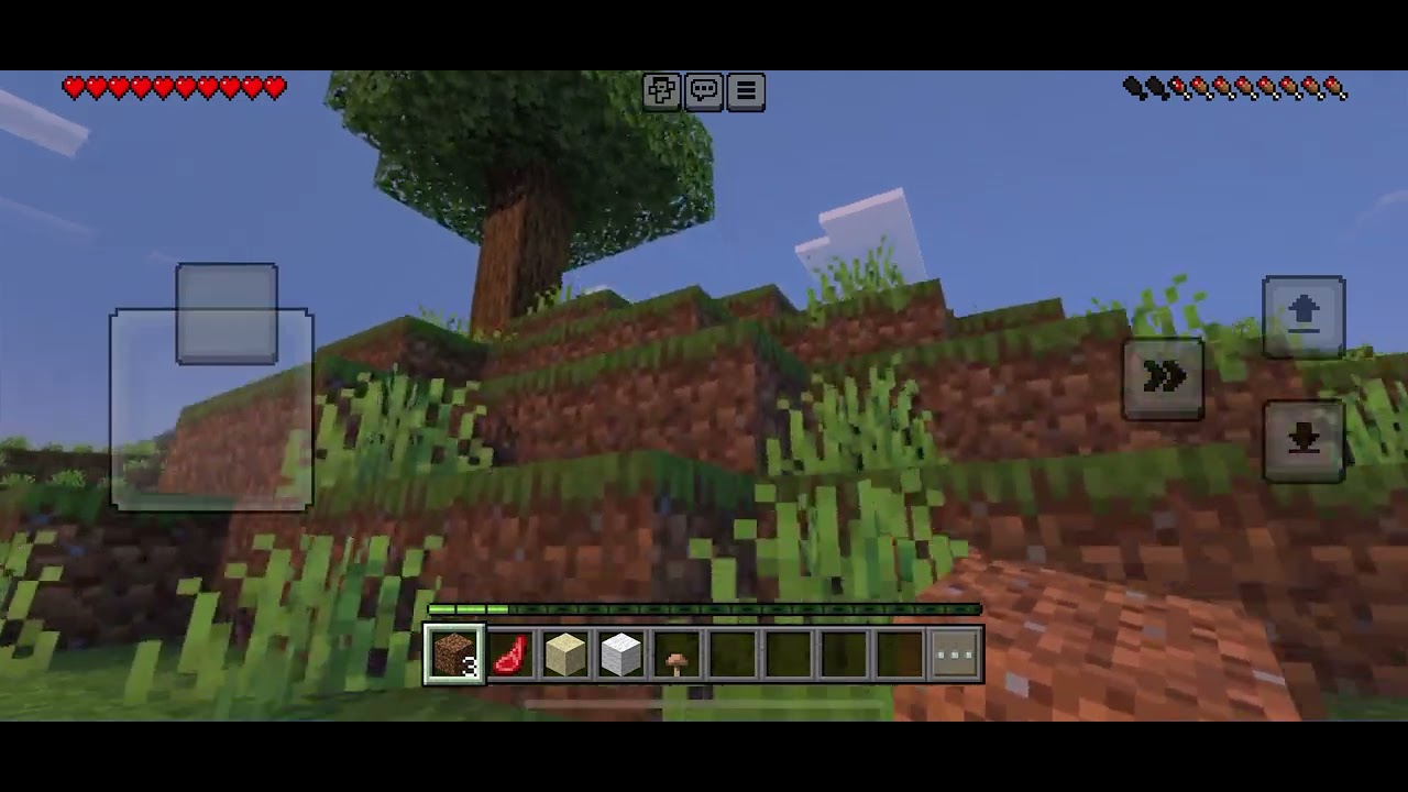 Minecraft mais je joue en bedrock 