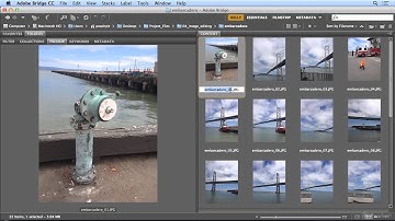 035.Organizing, Filing and Sorting Your Images with Adobe Bridge