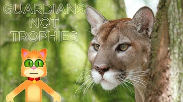 Guardians Not Trophies