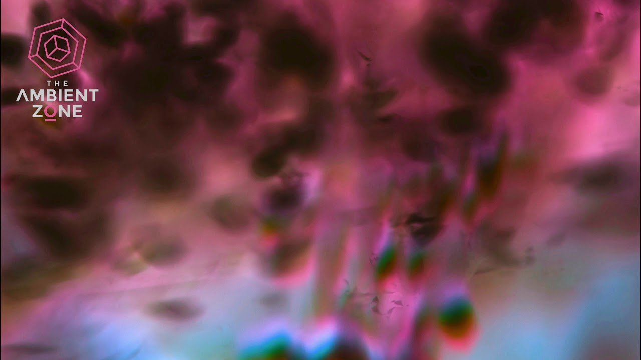Watch Nami Sato - SEABED (The Ambient Zone) on YouTube Watch Nami Sato - SEABED (The Ambient Zone) on YouTube
