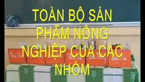 Video dạy học về mô hình VNEN