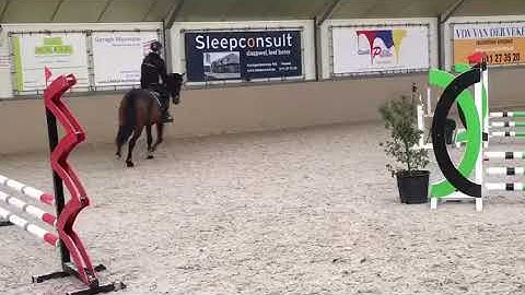 Quick diamont vg 3y by quickstar