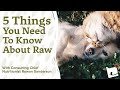 5 Things To Know About Raw Pet Food | Raw Pet Food Facts