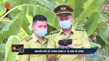 CHUYỂN ĐỔI SỐ TRONG QUẢN LÝ VÀ BẢO VỆ RỪNG | VTV5