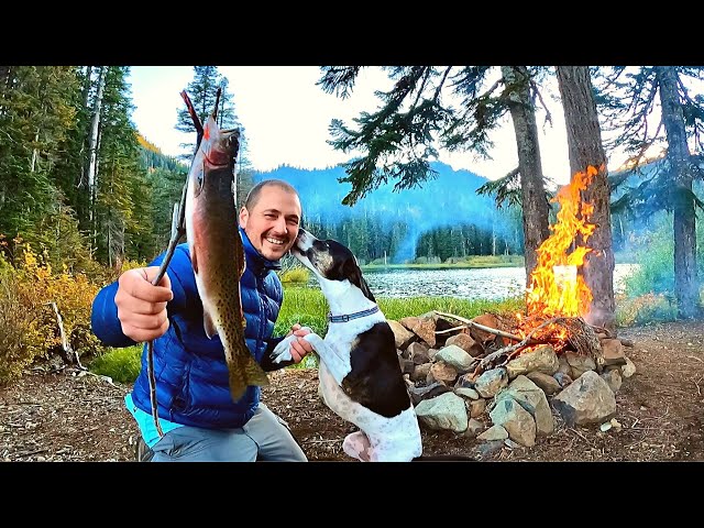 SOLO Mountain SURVIVAL with my Dog!!! No Food, No Water! Fishing & Foraging