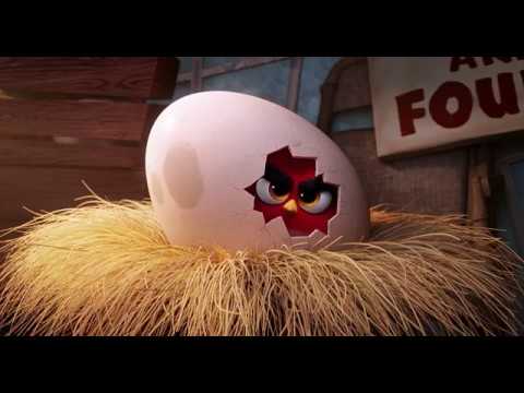 Angry Birds Film Türkçe Dublaj  - Red's Anger