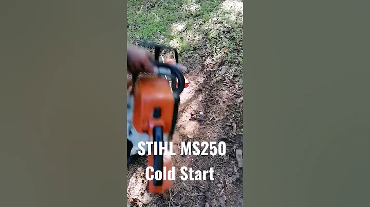 STIHL MS250 Cold Start #stihl #chainsaw #bobthetoolman #timber #stihlusa #shorts #stihlchainsaw