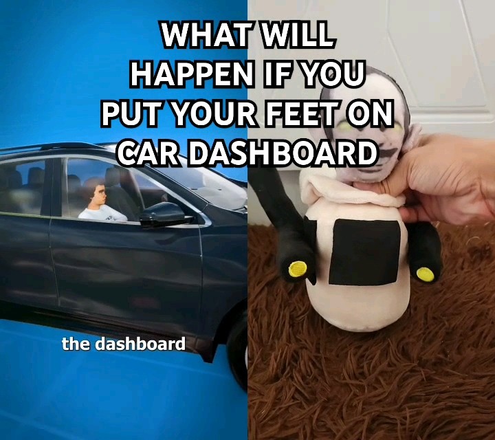 What Will Happen If You Put Your Feet on Car Dashboard plush plushies