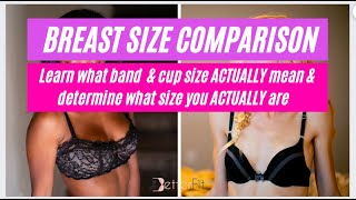 Bra Size Measurement & Cup Size  A, B, C, D, DD Bra Sizes AND