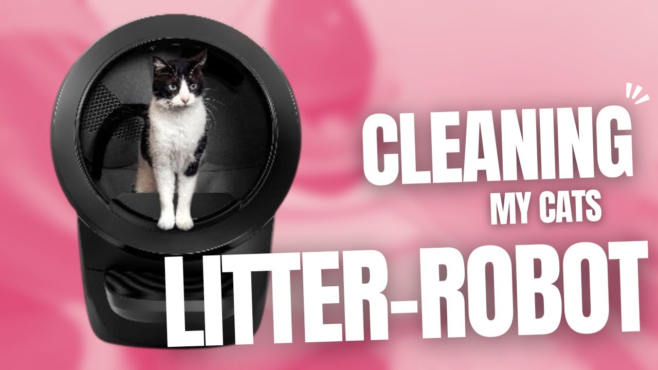 Cleaning My Cats Robot Litter Box | Fast & Simple