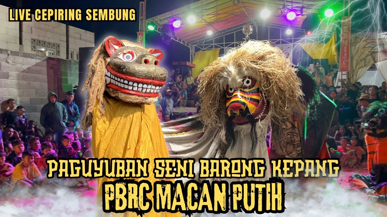 RITUAL BARONGAN PBRC MACAN PUTIH LIVE GELAR BUDAYA KECAMATAN CEPIRING