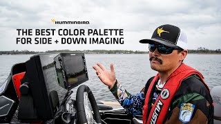 The Best Color Palette for Side and Down Imaging