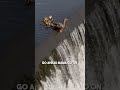 This duckling fell down a waterfall so its mom did this ❤️