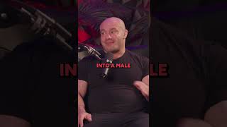 Why Kids Under 18 Might Need TRT