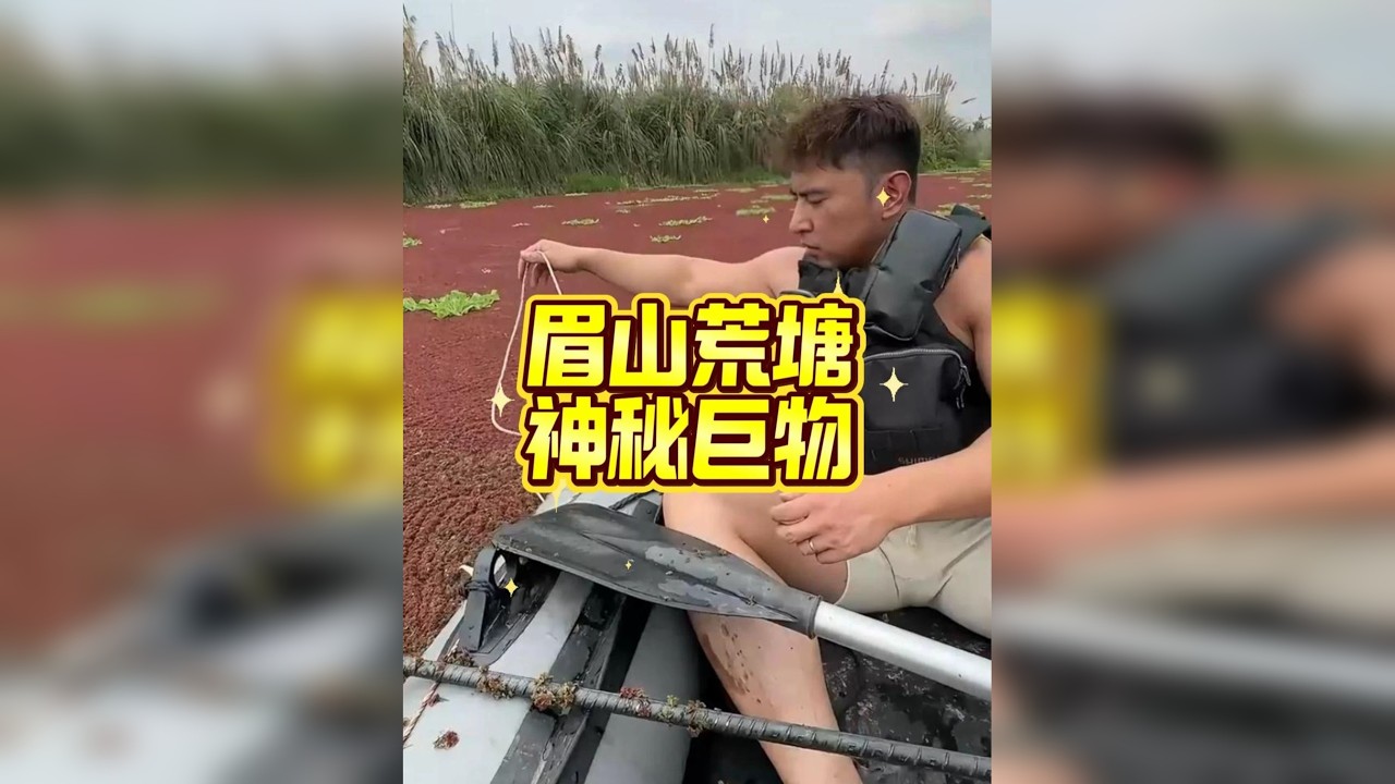 十斤草鱼被一口咬成两段？究竟是怎样的巨物，咬合力如此惊人？