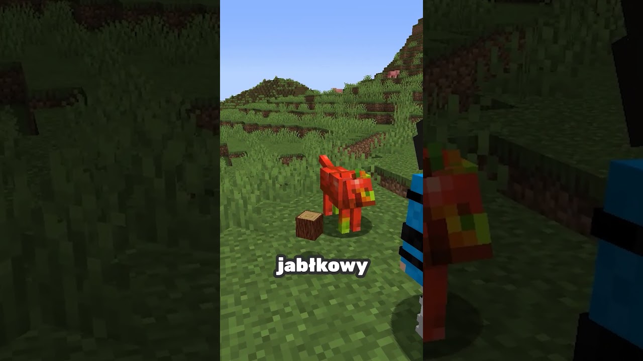 To nie jest zwykły pies 😱