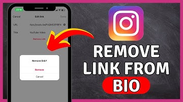 How to Remove Link From Instagram Bio