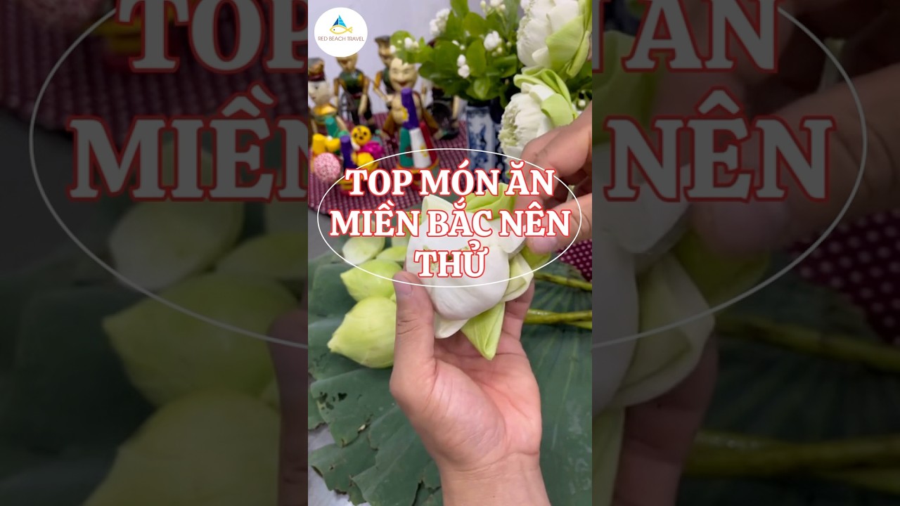 ✨Top món ăn miền Bắc nên thử 