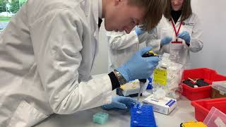 PCR MASTERCLASS