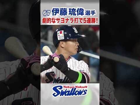 伊藤琉偉選手 劇的なサヨナラ打で5連勝! #swallows #伊藤琉偉 #shorts