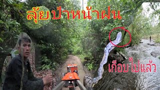 เข้าป่าหน้าฝนสองคน//ເຂົ້າປ່າສອງຄົນ